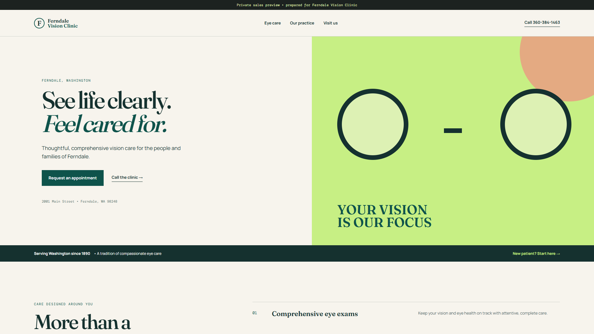 Ferndale Vision Clinic live website design example